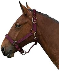 Gallop adjustable padded for sale  Delivered anywhere in UK
