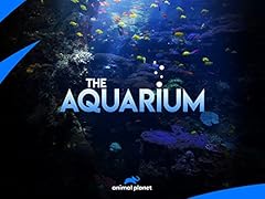 Aquarium for sale  Delivered anywhere in USA 