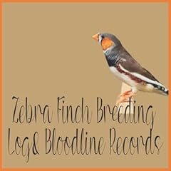 Zebra finch breeding for sale  Delivered anywhere in UK