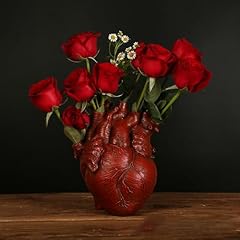 Human heart organ for sale  Delivered anywhere in USA 