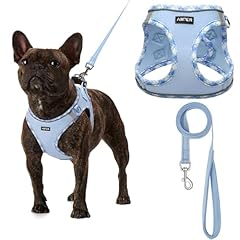 Amtor small dog for sale  Delivered anywhere in USA 