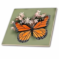 3drose 212839 monarch for sale  Delivered anywhere in USA 