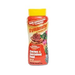 Dynamite 82170 sun for sale  Delivered anywhere in USA 