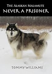 Alaskan malamute never for sale  Delivered anywhere in UK