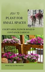 Design courtyard flower for sale  Delivered anywhere in USA 