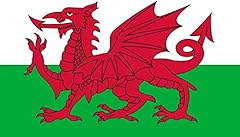 Welsh wales cymru for sale  Delivered anywhere in UK