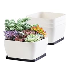 Succulent pots inch for sale  Delivered anywhere in USA 