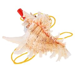 Muschelhorn muschelpfeife meer gebraucht kaufen  Wird an jeden Ort in Deutschland