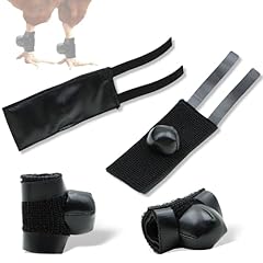 Okqx pack rooster for sale  Delivered anywhere in USA 