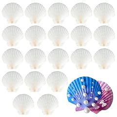 Zefan white scallops for sale  Delivered anywhere in UK