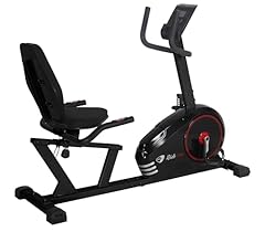 Ride recumbent r290 usato  Spedito ovunque in Italia 
