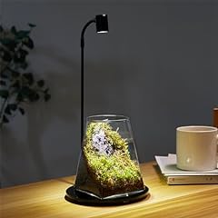 Mini glass plant for sale  Delivered anywhere in USA 