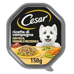 Cesar ricette campagna usato  Spedito ovunque in Italia 
