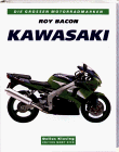 Kawasaki gebraucht kaufen  Wird an jeden Ort in Deutschland