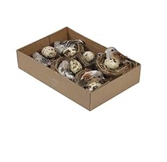 Rilostore pack quail for sale  Delivered anywhere in UK