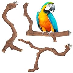 Piece premium bird for sale  Delivered anywhere in USA 