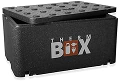 Therm box scatola usato  Spedito ovunque in Italia 