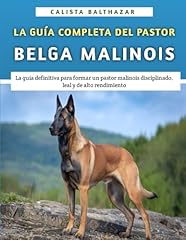 Guía completa del usato  Spedito ovunque in Italia 