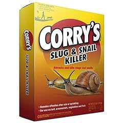 Corry slug snail for sale  Delivered anywhere in USA 