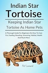 Indian star tortoise for sale  Delivered anywhere in USA 
