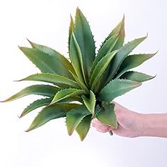 Veryhome succulents plants for sale  Delivered anywhere in USA 