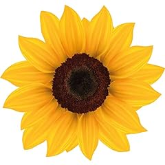 Kleberio aufkleber sonnenblume gebraucht kaufen  Wird an jeden Ort in Deutschland