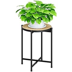 Bamworld rattan plant for sale  Delivered anywhere in USA 