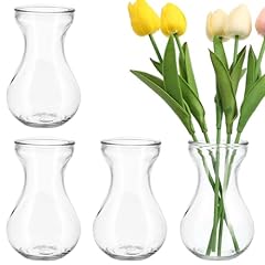 4pcs hyacinth bulb for sale  Delivered anywhere in USA 