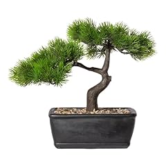 Bonsai pianta artificiale usato  Spedito ovunque in Italia 