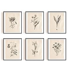 Infunly 6pcs botanical for sale  Delivered anywhere in Ireland