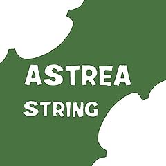 Astrea 141110 violin for sale  Delivered anywhere in Ireland