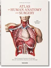 Atlas human anatomy d'occasion  Livré partout en Belgiqu