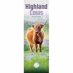 Carousel worldwide highland for sale  Delivered anywhere in UK