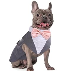 Dora bridal dog for sale  Delivered anywhere in USA 