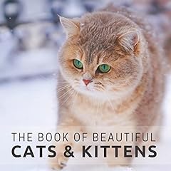 Book beautiful cats for sale  Delivered anywhere in Ireland