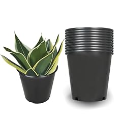Ysmn gallon nursery for sale  Delivered anywhere in USA 