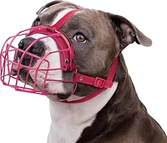 Museruola per cani usato  Spedito ovunque in Italia 