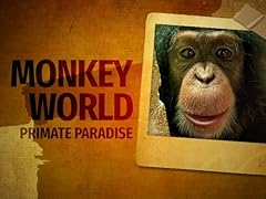 Monkey primate paradise for sale  Delivered anywhere in UK