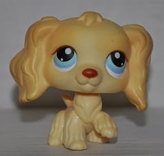 Cocker spaniel littlest for sale  Delivered anywhere in USA 