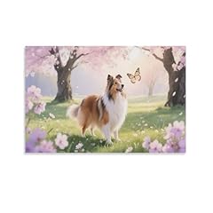 Iejkluvwx shetland sheepdog for sale  Delivered anywhere in UK