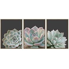 Succulent wall art for sale  Delivered anywhere in USA 