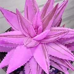 Haloppe 100 aloe usato  Spedito ovunque in Italia 