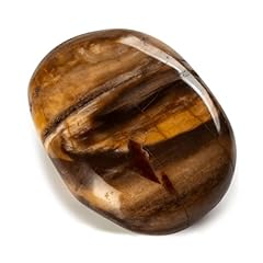 Kalifano petrified wood for sale  Delivered anywhere in USA 
