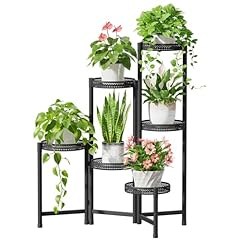 Idavosic.ly tier plant for sale  Delivered anywhere in USA 