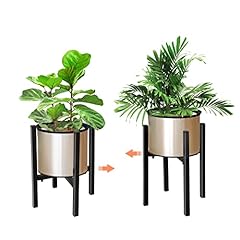 Dhouse adjustable plant for sale  Delivered anywhere in UK