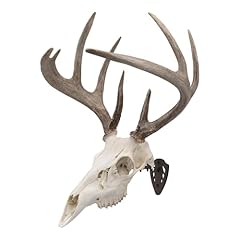 Allen company mount for sale  Delivered anywhere in USA 