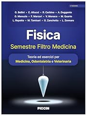 Fisica. semestre filtro usato  Spedito ovunque in Italia 