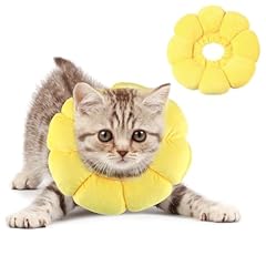 Moosono halskrause katze gebraucht kaufen  Wird an jeden Ort in Deutschland