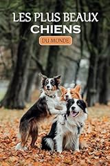 Beaux chiens fantastique d'occasion  Livré partout en France