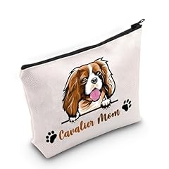 Pyoul cavalier king d'occasion  Livré partout en France